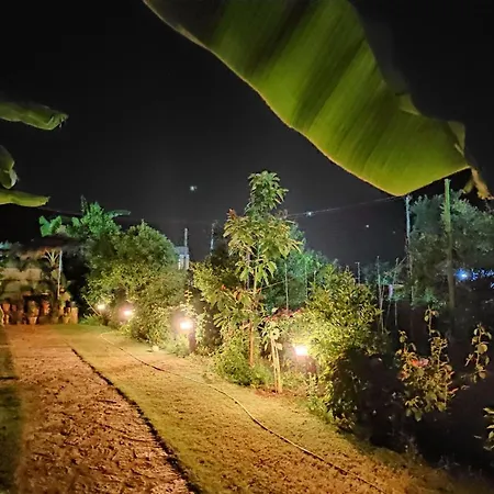 Гостевой дом Druri Дхерми