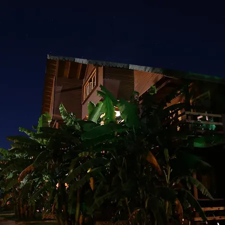 Vila Druri Casa de hóspedes *