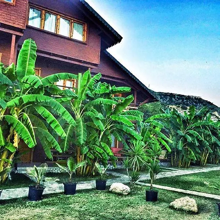 Druri بيت ضيافة ديرمي